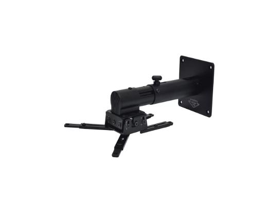 Who is the leading manufacturer of projectors