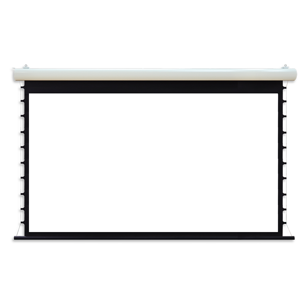 top-grade motorized tab-tensioned screen LXEC105
