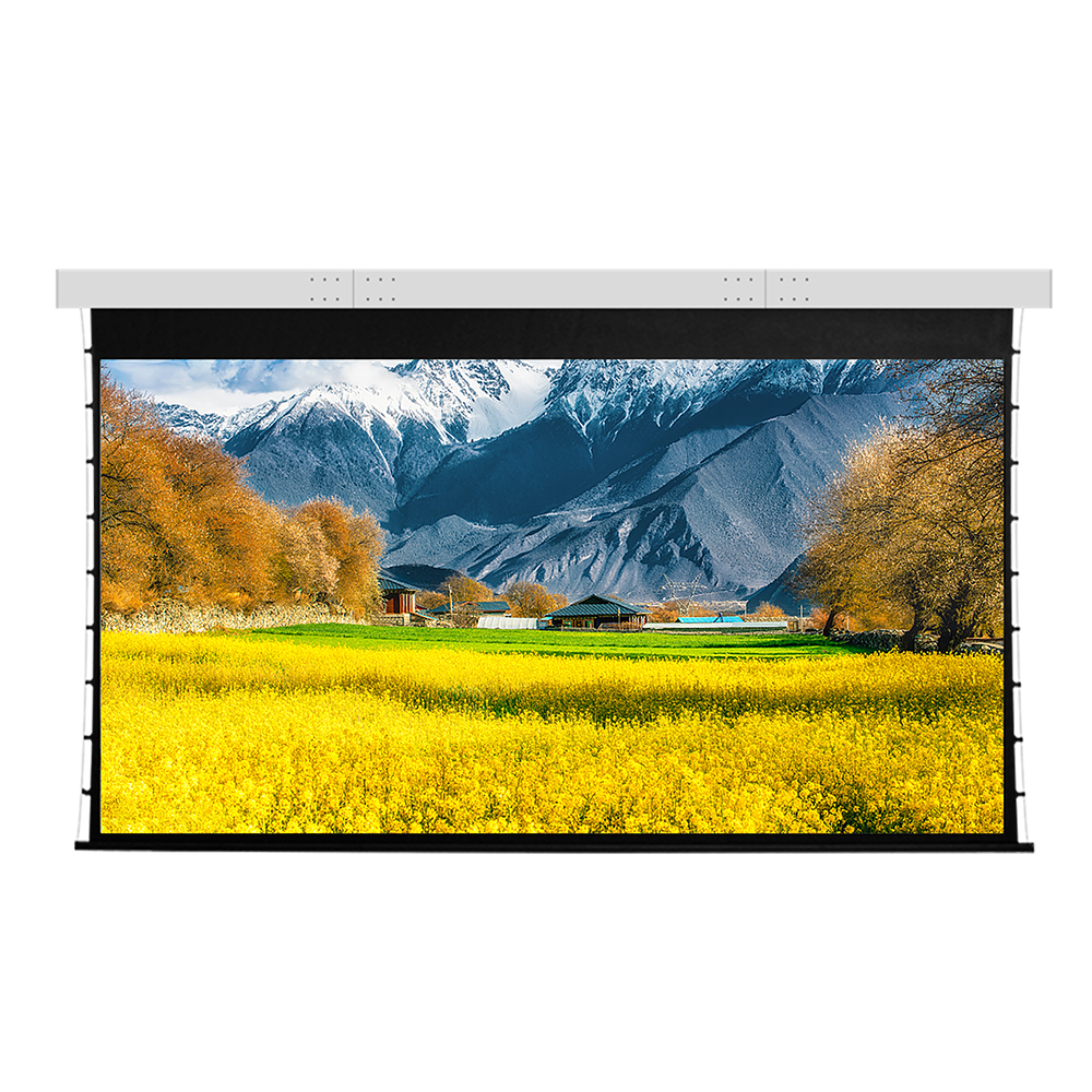 Customized Separated Roll-up Motorized Engineering Screen SMS70