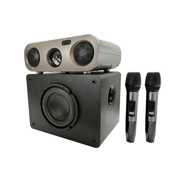 KARAOKE & PROJECTION2.1 SYSTEM H8